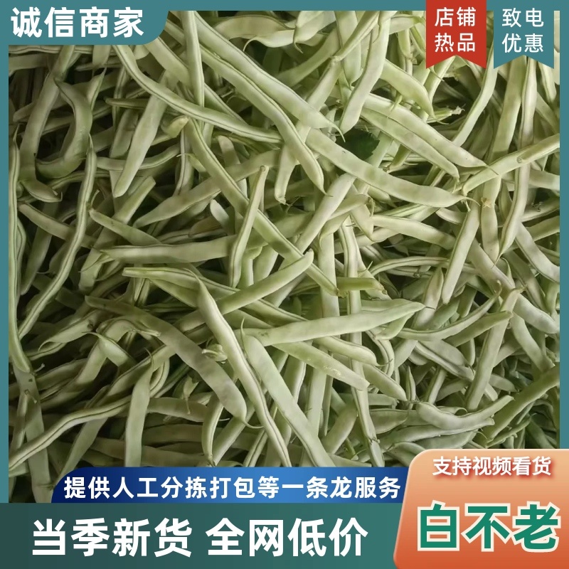 精品白不老豆角，口感丰富，营养健康，价格美丽，产地直发