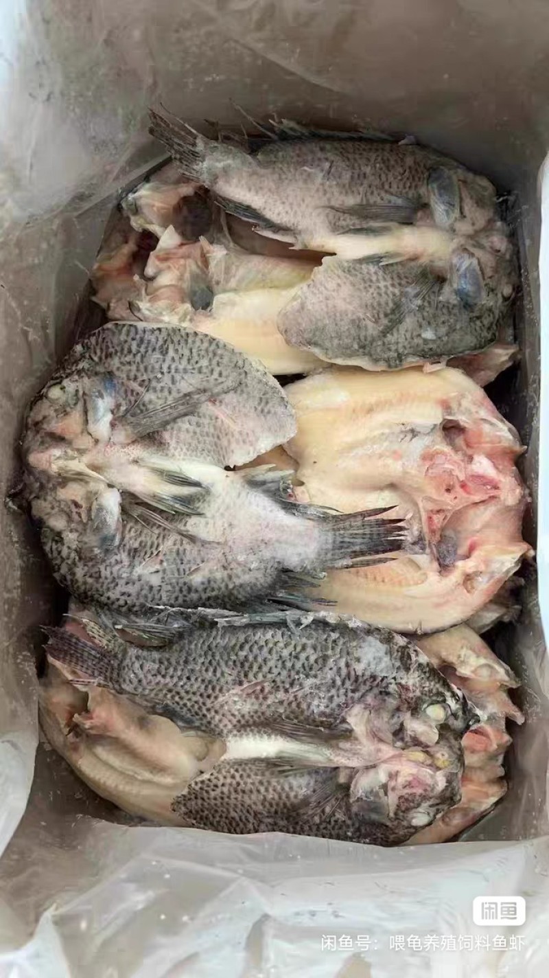 条冻开背三去二去等供应