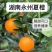 夏橙新出量大万亩基地