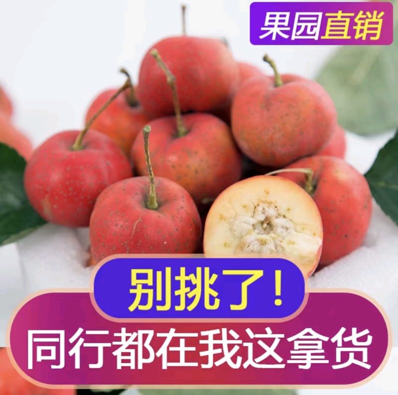 新鲜山楂果特级山楂水果冰糖葫芦大五棱批发量大优惠