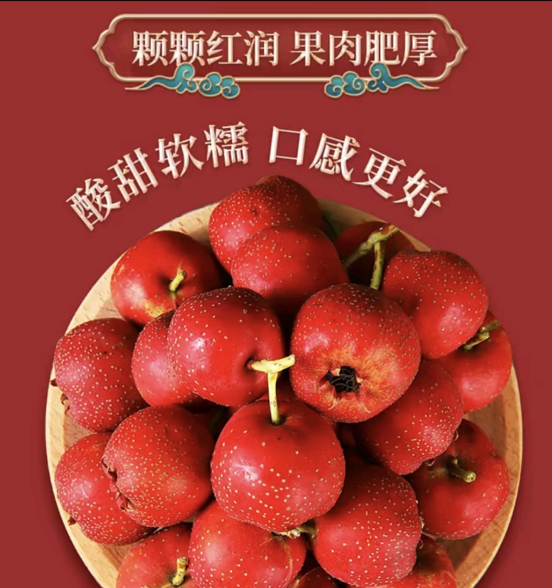 新鲜山楂果特级山楂水果冰糖葫芦大五棱批发量大优惠