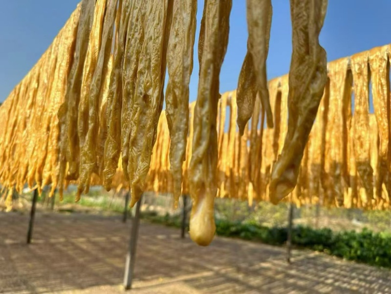 “一口豆黄金”被遗忘的手工时间