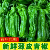 薄皮青椒，芜湖椒