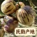 网红甘肃民勤人参果自家基地种植新鲜上市产地直发
