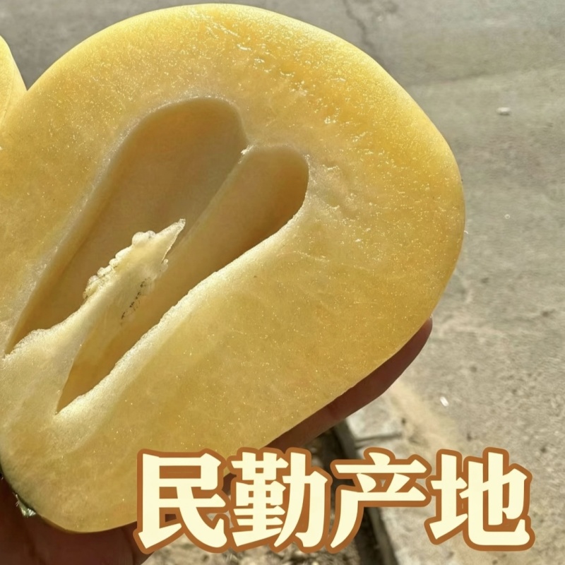 网红甘肃民勤人参果自家基地种植新鲜上市产地直发