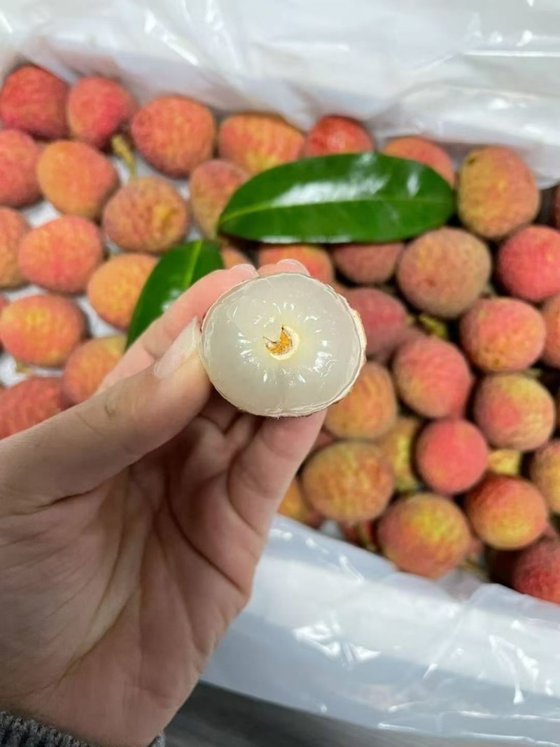 海南桂花香荔枝一件代发商超供货社区团购市场批发