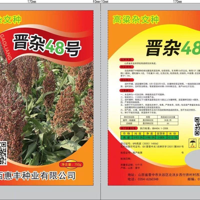 精品高梁种子货源充足量大从优质量保证诚信经营欢迎咨询
