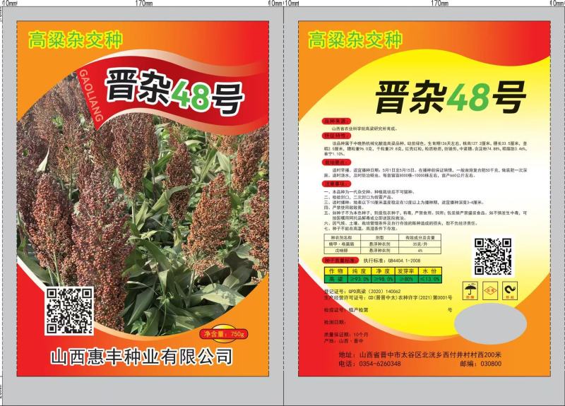 精品高梁种子货源充足量大从优质量保证诚信经营欢迎咨询