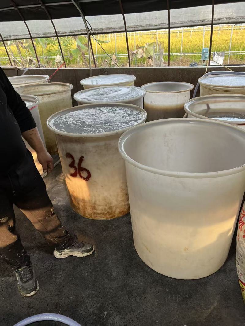 藕粉莲藕粉农家自产自销莲藕粉莲藕粉粉糯细