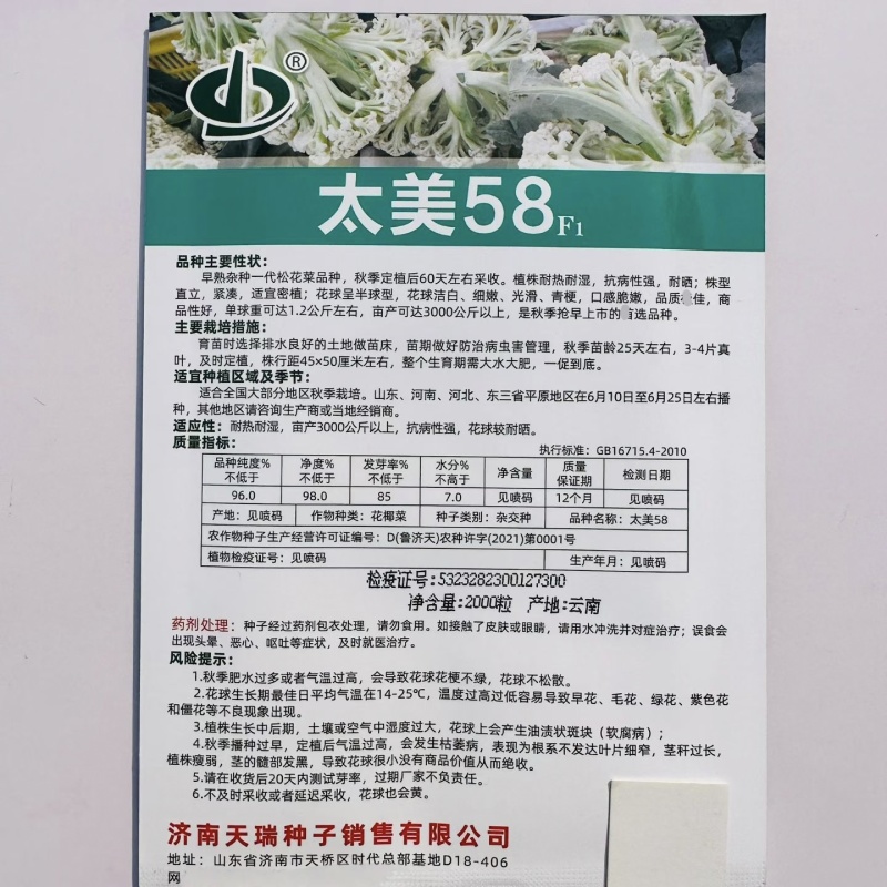 太美58松花菜种籽耐热耐晒产量高早熟青梗松花菜种子脆嫩