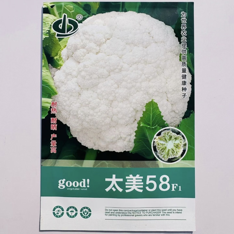 太美58松花菜种籽耐热耐晒产量高早熟青梗松花菜种子脆嫩