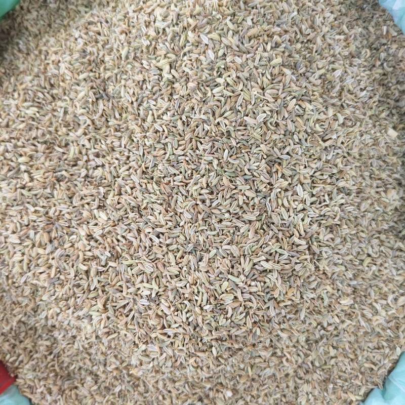 国产特绿小茴香颗粒饱满卤水香料调料