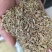 国产特绿小茴香颗粒饱满卤水香料调料