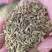 国产特绿小茴香颗粒饱满卤水香料调料