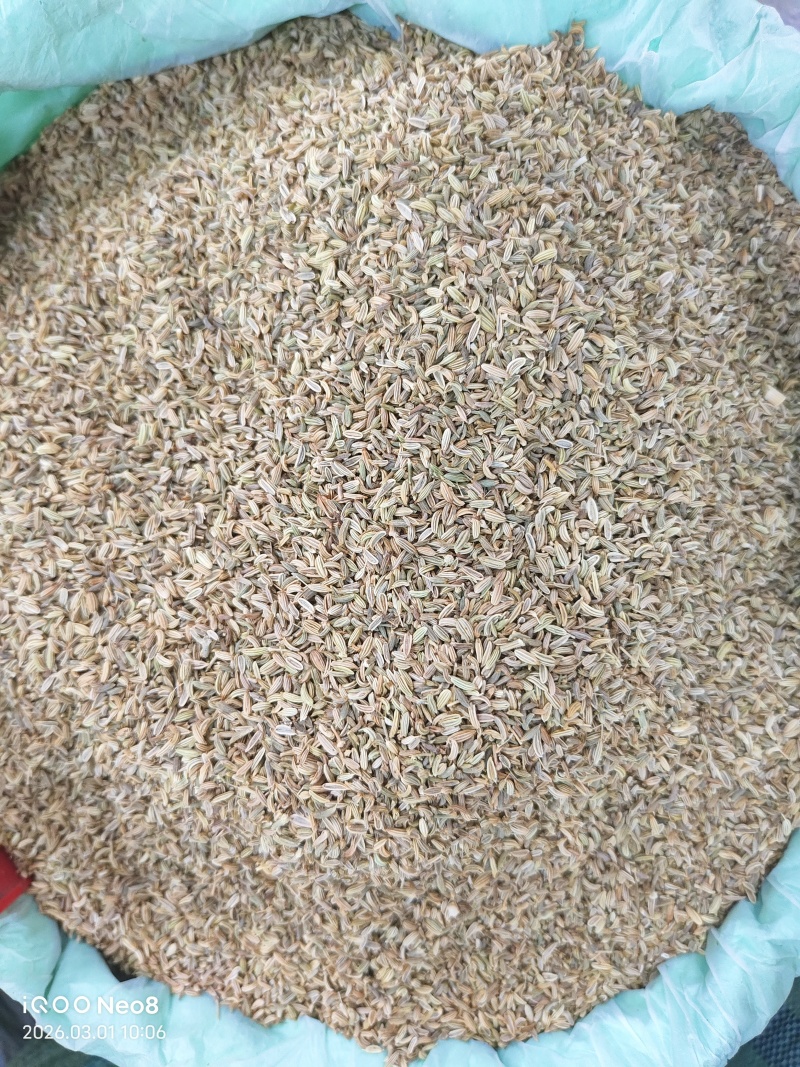 国产特绿小茴香颗粒饱满卤水香料调料