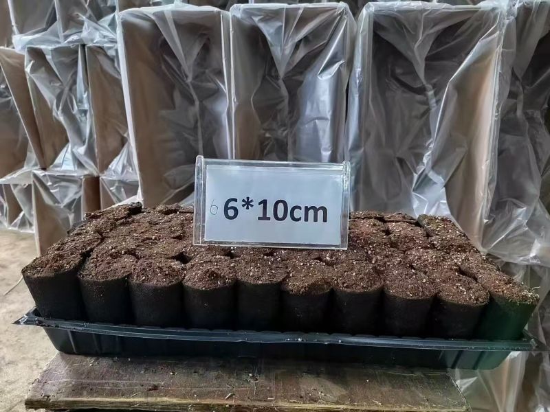 轻基质无防布育苗杯灌好轻基质容器杯基质袋无防布育苗袋