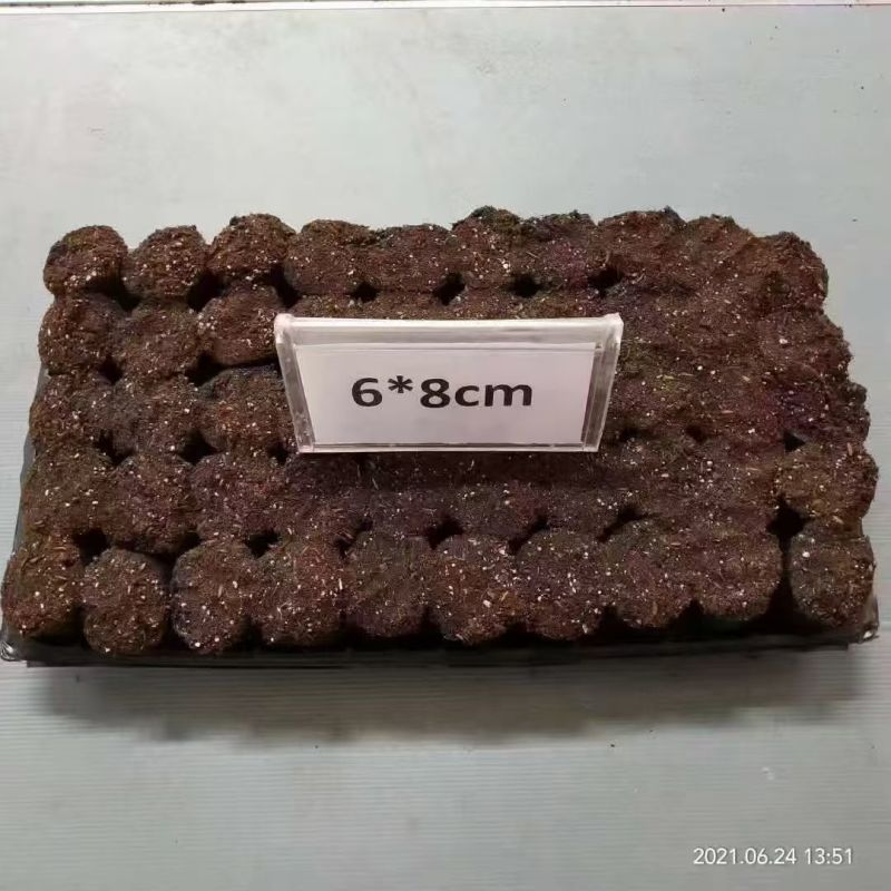 轻基质无防布育苗杯灌好轻基质容器杯基质袋无防布育苗袋