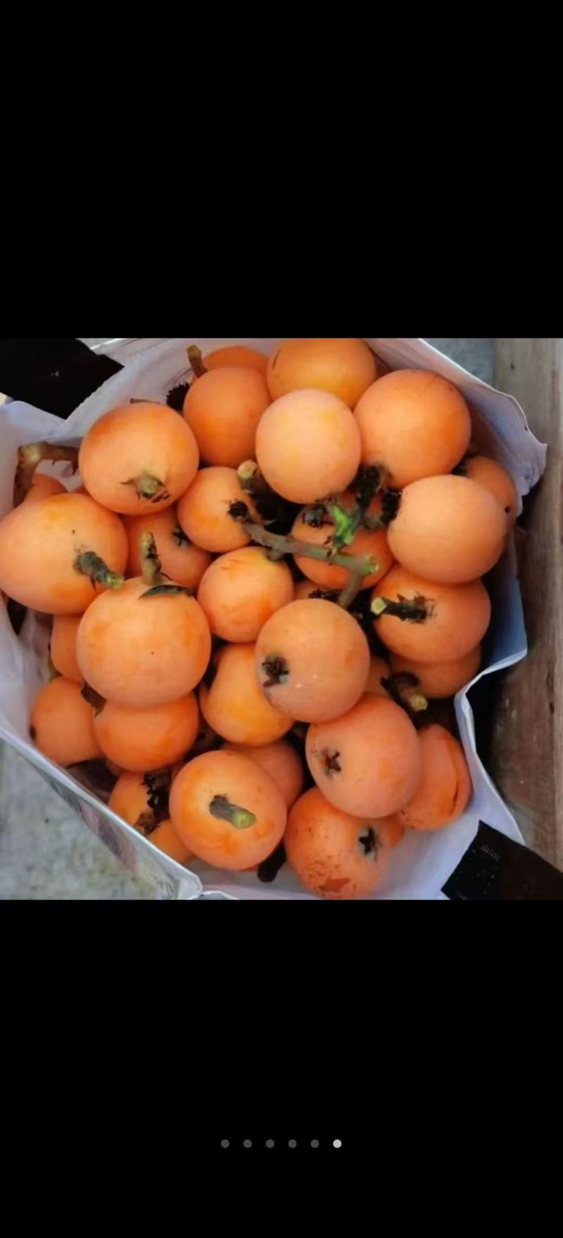 云南昭通大兴枇杷