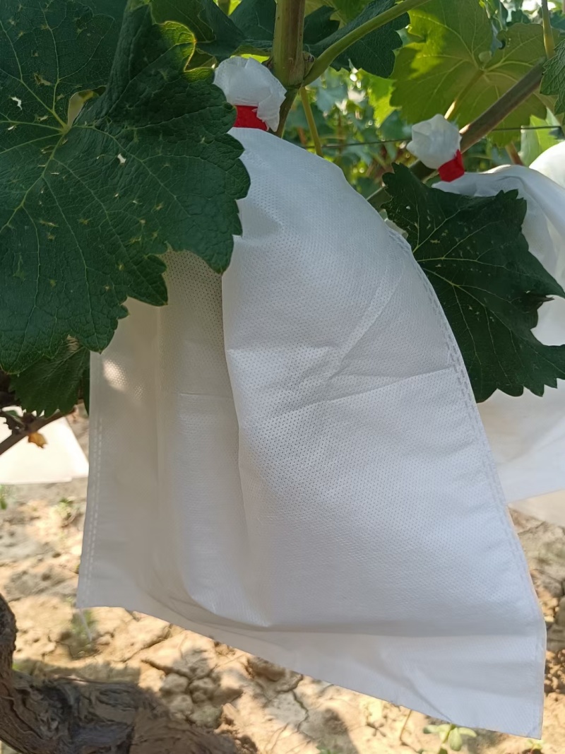 葡萄套袋无防布防鸟防水的葡萄专用袋桃子芒果水果套袋防虫