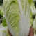 精品娃娃菜