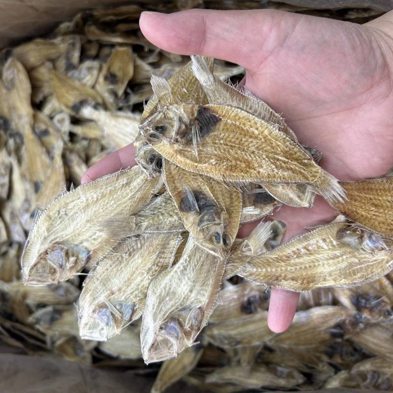大地鱼干