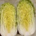 高品质娃娃菜大小娃娃菜