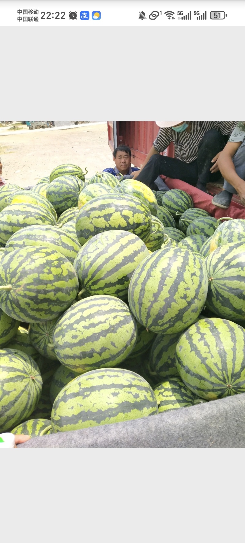《畅销》夏邑西瓜甜王/美都麒麟/品种齐全对接商超团购电商