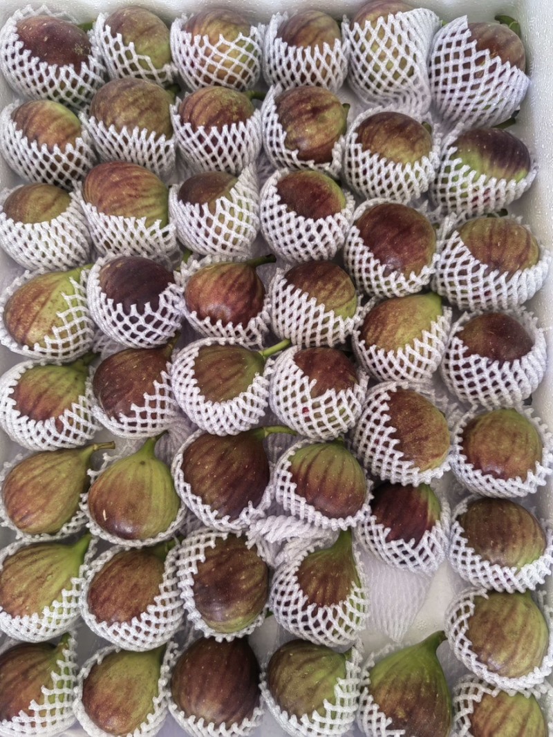 产地直发无花果四季不断货保证质量软糯香甜包破损