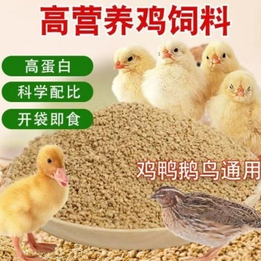小鸡饲料小鸭小鹅开口料吃的多长得快，毛色好