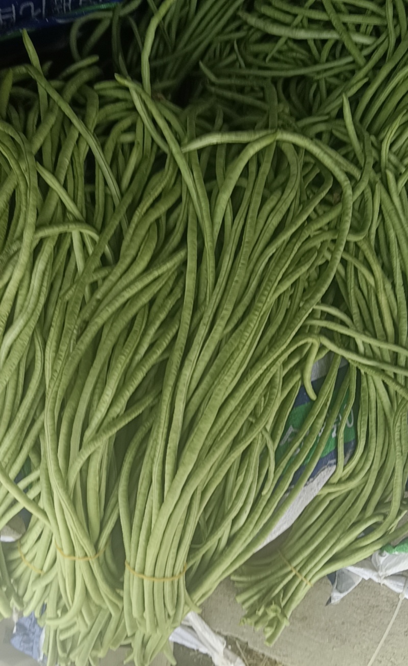 精品豆角