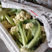 花菜