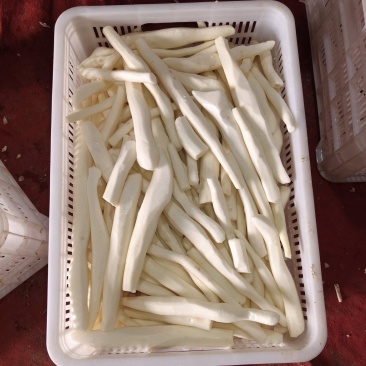 大量有去皮山药段