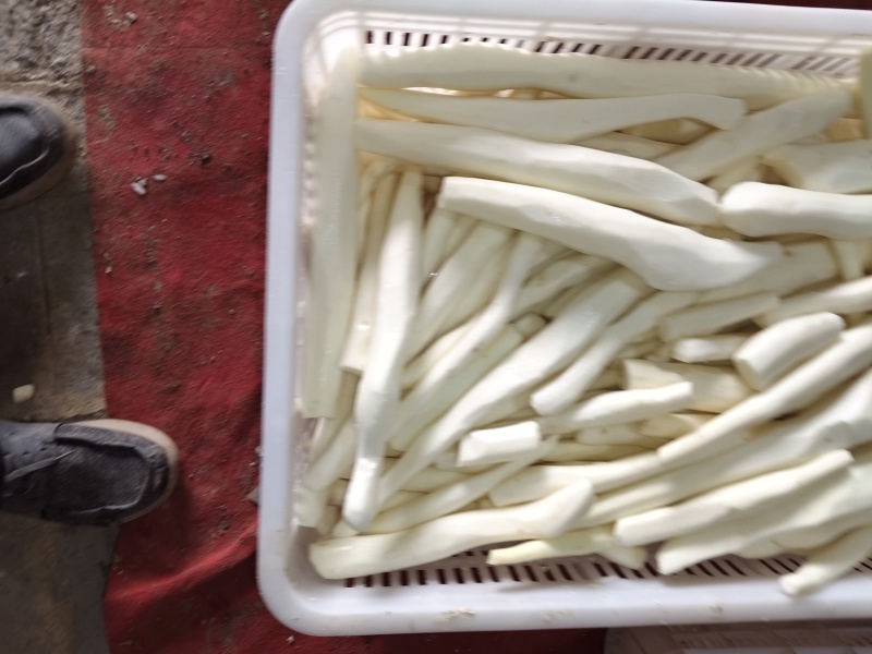 大量有去皮山药段