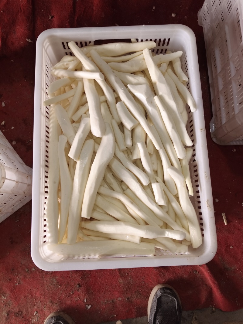 大量有去皮山药段