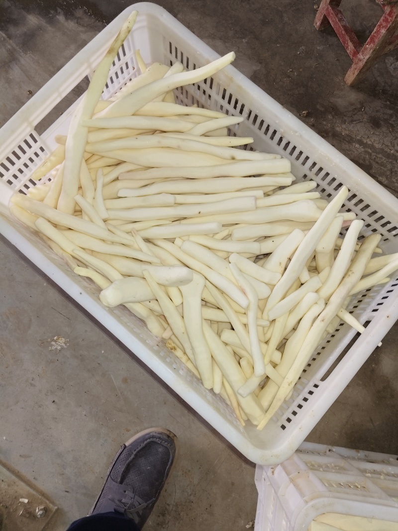 大量有去皮山药段