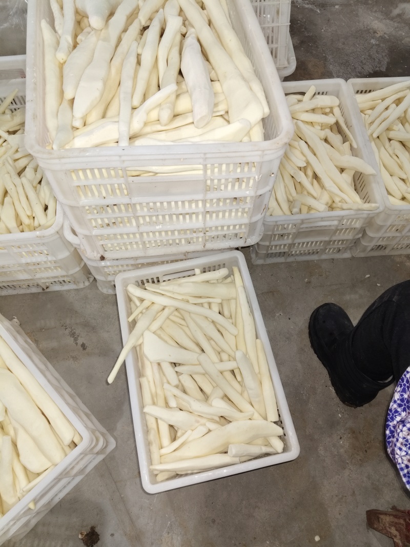 大量有去皮山药段