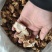 脱皮本地白肉土茯苓干块，纯手工砍，天然无硫。21元一斤。