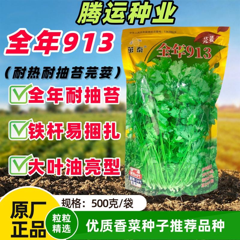 香菜种子全年耐抽苔品种种子