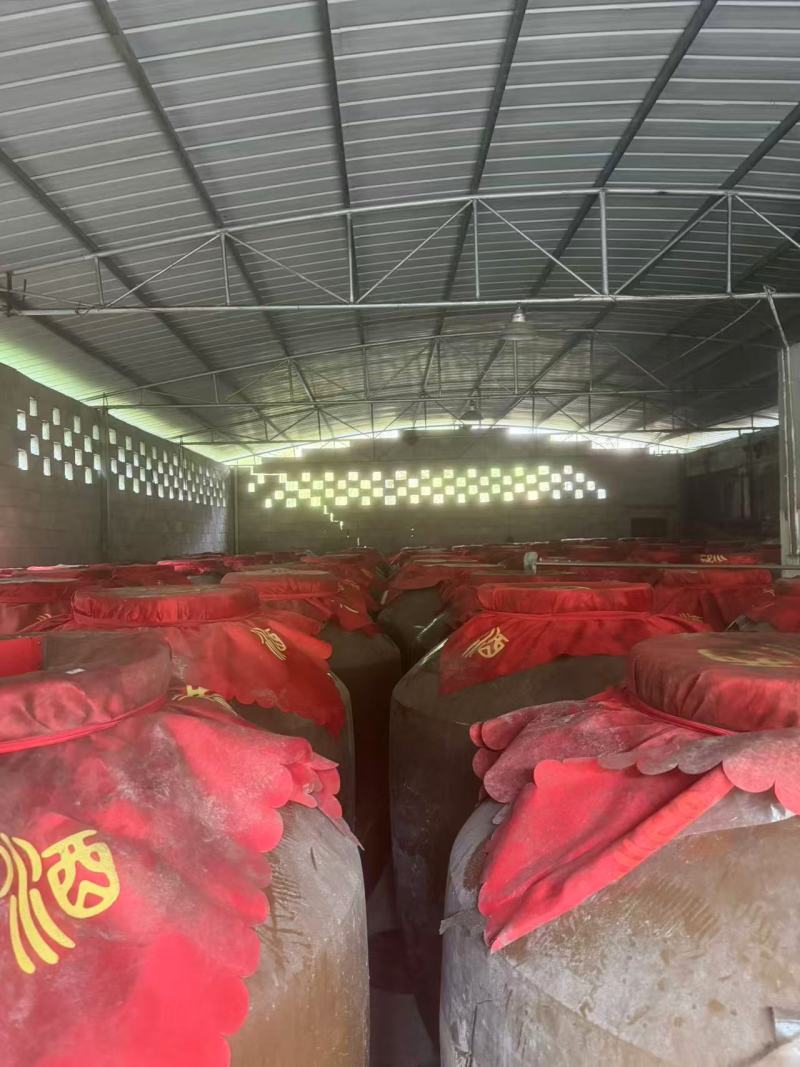 精品米酒大量供应厂家直销保质保量视频看货