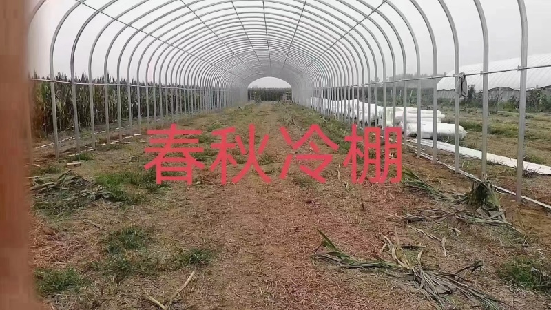 插地冷棚造价低，安装方便