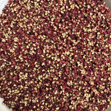 精品四川茂文花椒，颜色红，颗粒大，香味浓郁。