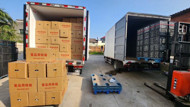 南昌松花皮蛋厂家。供应全国各地地摊创业电商平台销售。