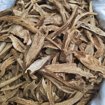 木香云木香野生木香量大从优各种中药材