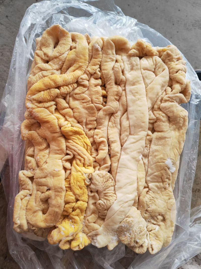 肥猪一级预煮大肠10吨十公斤箱300去油85%货在诸城