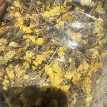 中药材迎春花大货供应零售批发都可以一公斤包邮干品