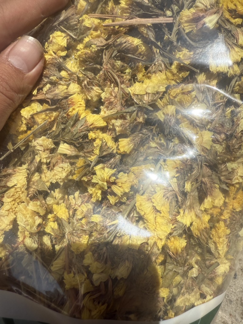 中药材迎春花大货供应零售批发都可以一公斤包邮干品