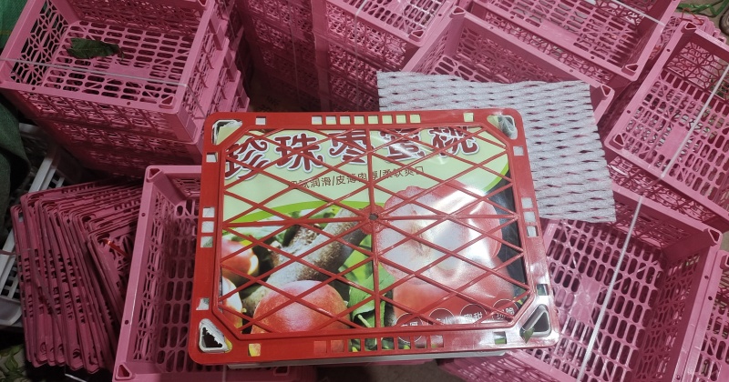 云南万亩枣蜜桃，已大量上市。黄油桃，白油桃，毛桃等等