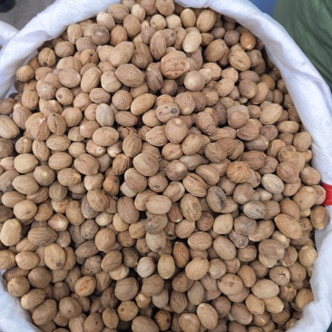 肉蔻玉果香果火锅料五斤包邮免费天然调味品