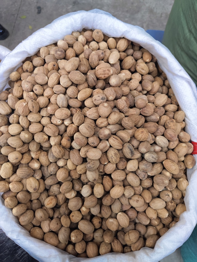 肉蔻玉果香果火锅料五斤包邮免费天然调味品