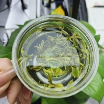 日照绿茶客户的认可就是对自己对得住自己的初心土特产质量